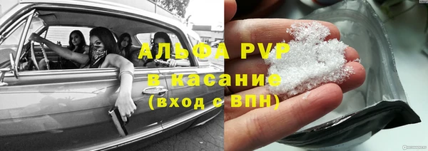 индика Алексин