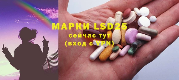 индика Алексин