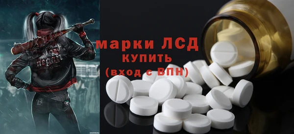 индика Алексин