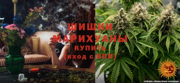 дурь Алзамай