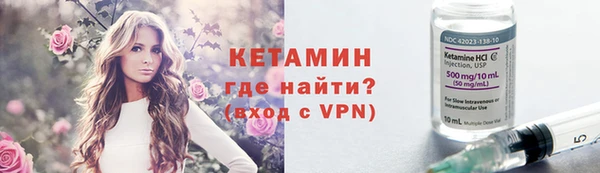 индика Алексин