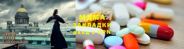 индика Алексин