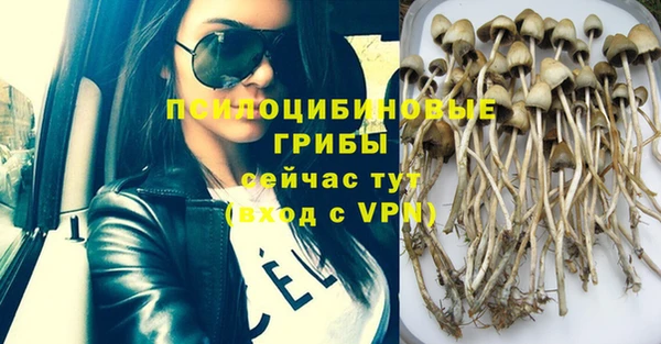 индика Алексин