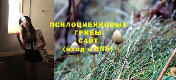 стаф Алексеевка