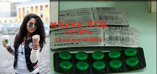 индика Алексин