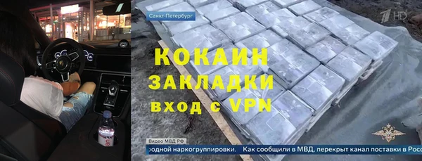 индика Алексин
