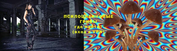 индика Алексин