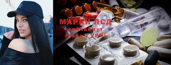 дурь Алзамай