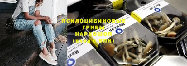 дурь Алзамай