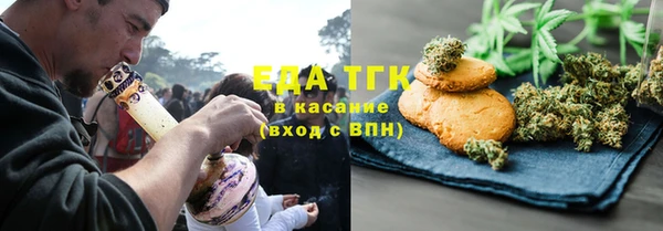 индика Алексин