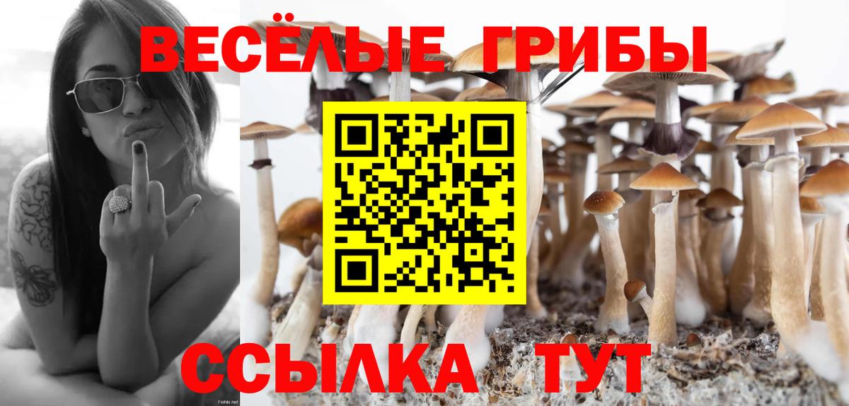 Псилоцибиновые грибы Cubensis Сургут