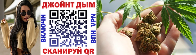 Конопля индика  Сургут 